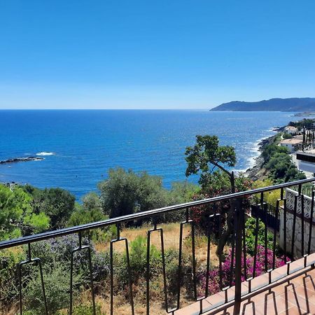Apartamento Deluxe Cau Del Llop Llançà Exterior foto